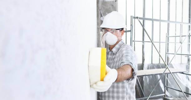 Why You Should Choose Our Mold Remediation Services in Rocky Point, WA